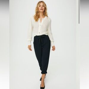 Aritzia Wilfred Allant Pant (crepe fabric)